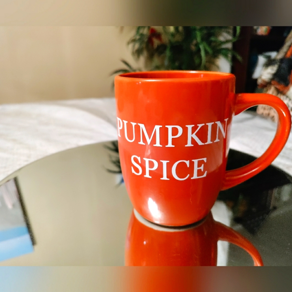 Pumpkin Spice Mug Royal Norfolk Mug For Dining.